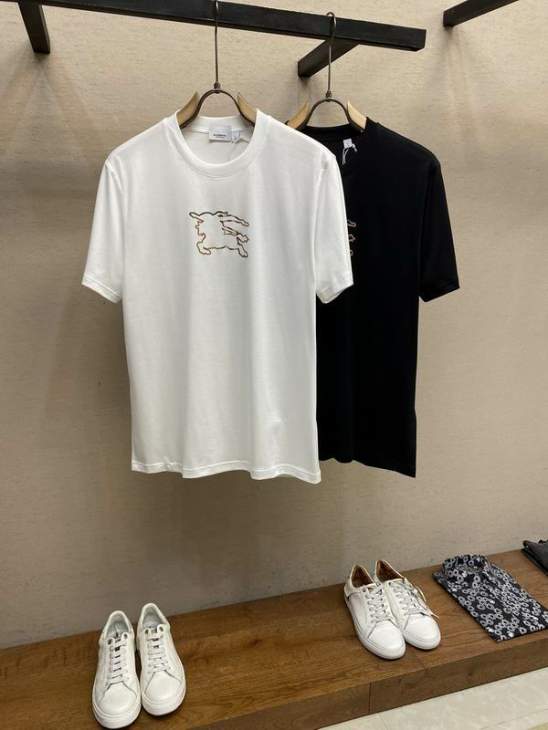 Picture of Burberry T Shirts Short _SKUBurberryS-XLtltx9419453